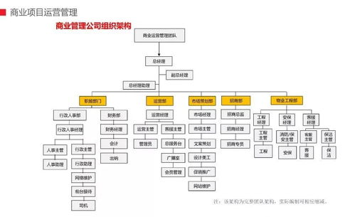 商管公司團(tuán)隊(duì)組織架構(gòu)及商業(yè)運(yùn)管模式——商業(yè)綜合體管理服務(wù)深度解析